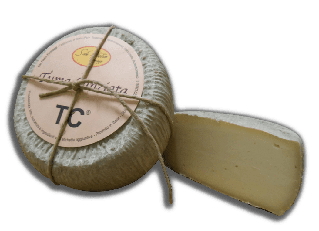 Tuma Canziata